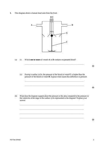 pdf, 193.01 KB