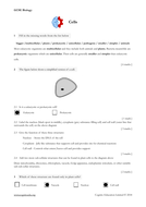 gcse biology 9 1 cells worksheet teaching resources