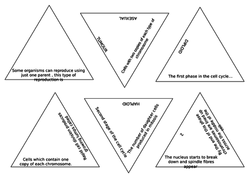 CB2 Trimones EDEXCEL combined science