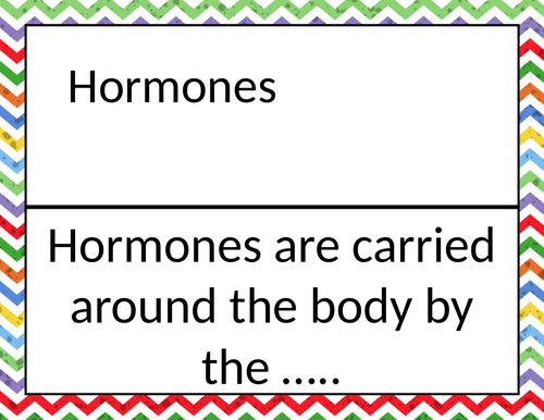 CB7 large dominoes combined science Edexcel