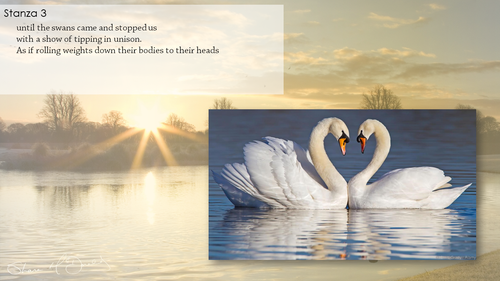 AQA Poetry Differentiated - Winter Swans (Love and Relationships Unit ...