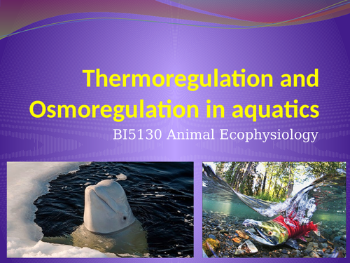 Physiology presentations covering animal adaptations - 21 resources |  Teaching Resources