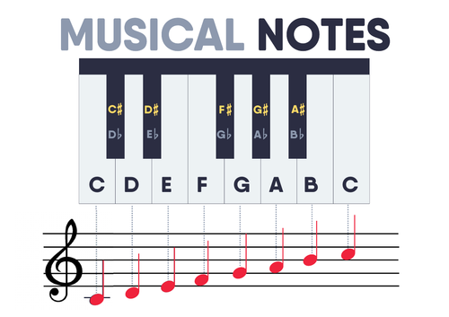 Musical Notes (Keyboard and Stave)