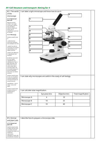 B1 Cell Structure and transport Grade 4 Revision Checklist AQA New Spec