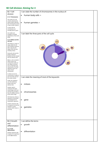 B2 Cell Division Grade 4 Revision Checklist AQA New Spec
