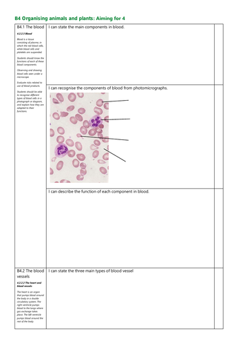 B4 Organising animals and plants Grade 4 Revision Checklist AQA New Spec