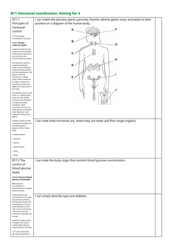 B11 Hormonal coordination Grade 4 Checklist AQA New Spec