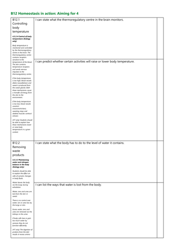 B12 Homeostasis in action Grade 4 Checklist