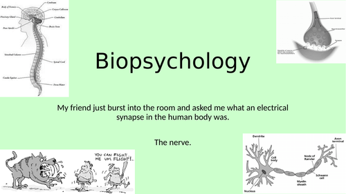 An Introduction to Biopsychology