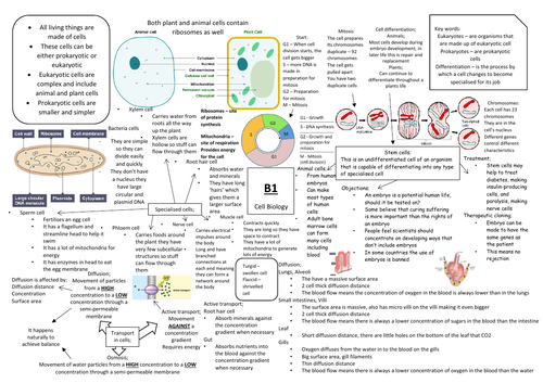 AQA GCSE Biology (9-1) B1 Double Science Revision Summary Sheets ...