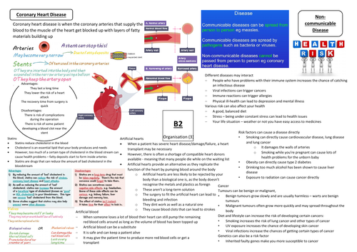 Aqa Gcse Biology 9 1 B2 Double And Triple Science Revision Summary 8034