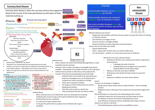 Aqa Gcse Biology 9 1 B2 Double And Triple Science Revision Summary Sheets Teaching Resources 9153