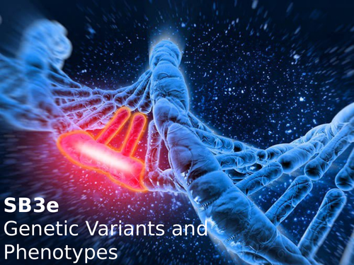 Edexcel SB3e Genetic Variants and Phenotypes