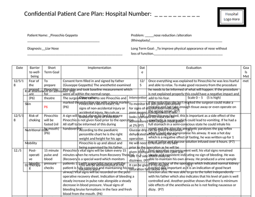 Level 3 Health And Social Care Example Of Care Plan Unit 14 P7 Teaching Resources 2283