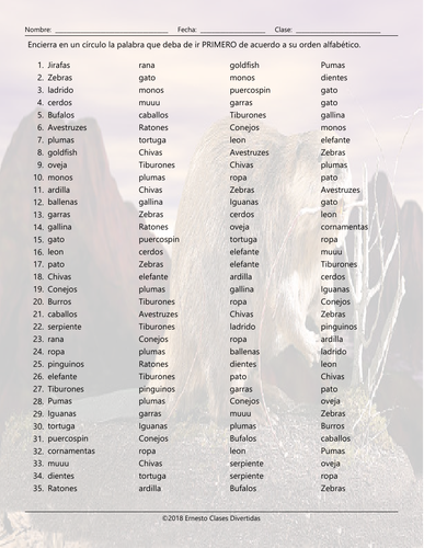 animals alphabetical order ii spanish worksheet teaching