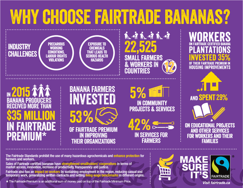 fair trade case study geography