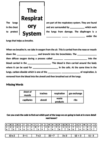 KS3 Unit 8C Biology -Respiration WORKSHEETS ONLY (8d Aerobic 8e ...