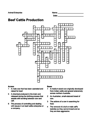 Crossword Beef Cattle Production Teaching Resources