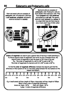 AQA GCSE Biology Paper 1 Revision Notes | Teaching Resources