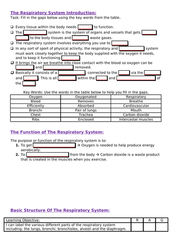 docx, 222.43 KB