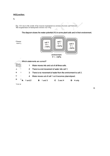 docx, 355.15 KB