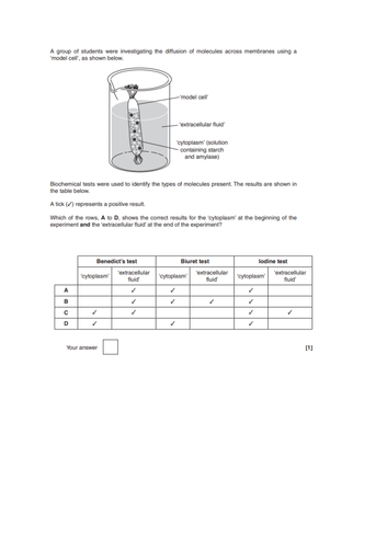 docx, 85.15 KB