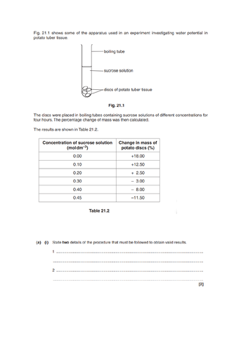 docx, 463.85 KB