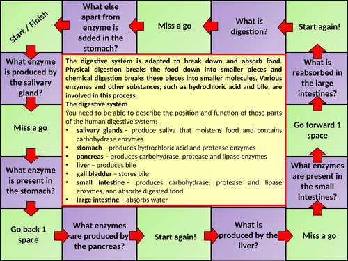AQA GCSE Biology (Science) Enzymes in Digestion Lesson | Teaching Resources