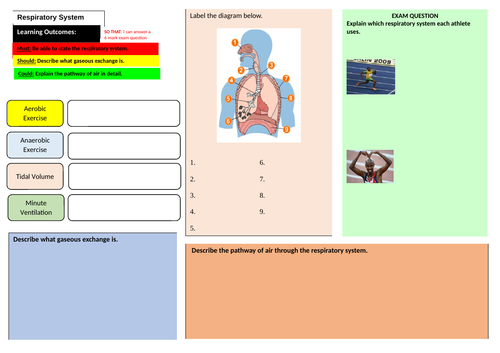 Respiratory Learning Mat