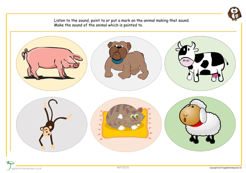Animal sounds activity SEN | Teaching Resources