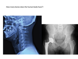 Skeleton - KS3 | Teaching Resources