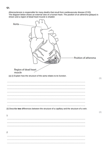 Atherosclerosis Lesson For A Level Teaching Resources