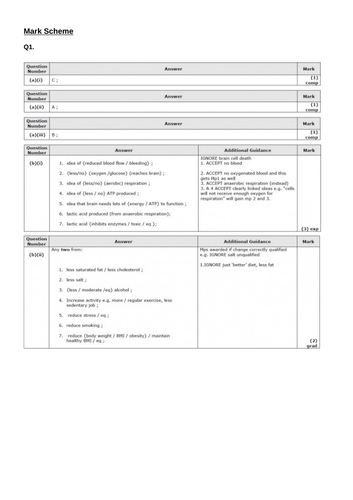 docx, 249.31 KB
