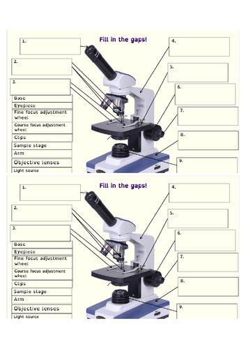 KS3 Microscopes- name the parts and how to use; plus microscope