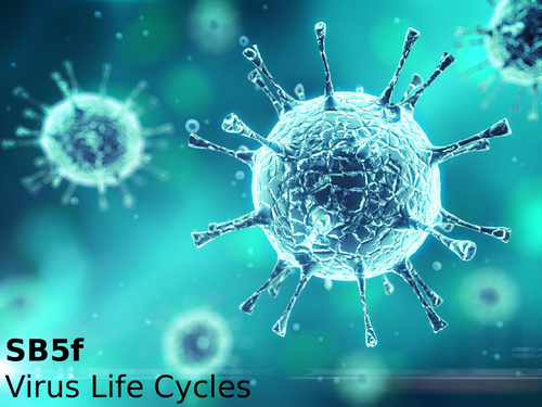 Edexcel SB5f Virus Life Cycles
