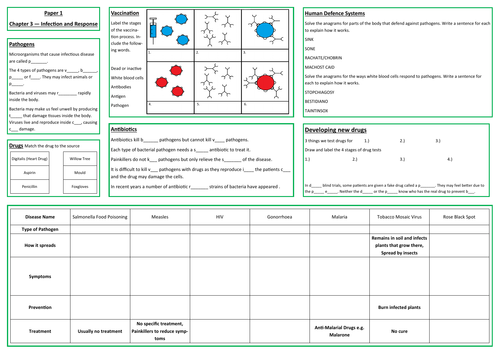 Infection and Response Revision Placemat