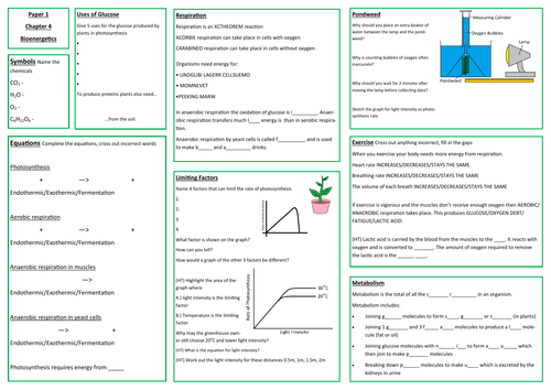 Bioenergetics Revision Placemat