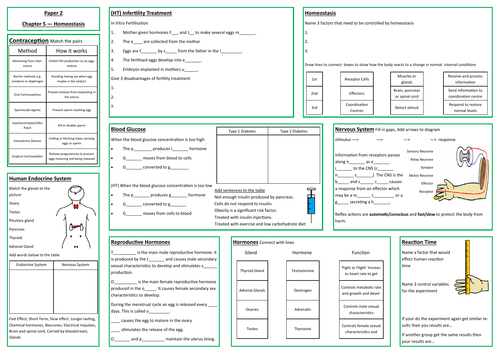 Homeostasis Revision Placemat