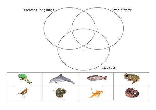Living things - Adaptations of animals (identifying features of