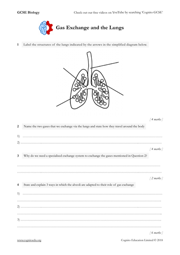 research paper on gas exchange