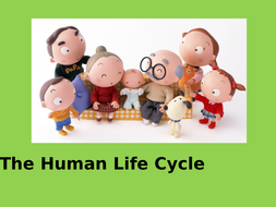 The Human Life-cycle (Complete lesson) KS1 SCIENCE | Teaching Resources