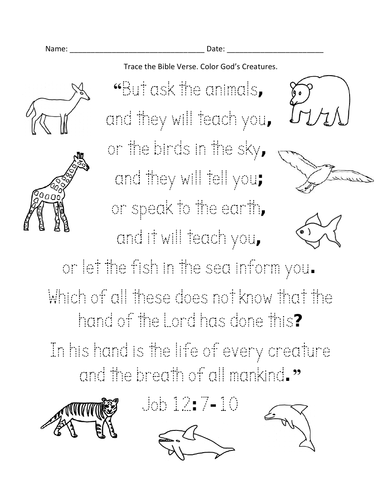 Animals Bible Verse Handout (Longer version - Job 12:7-10) | Teaching  Resources