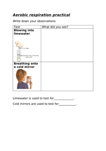 KS3 Aerobic respiration - lower ability | Teaching Resources