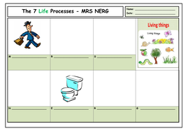 The 7 Life Processes (PowerPoint and Worksheets) | Teaching Resources