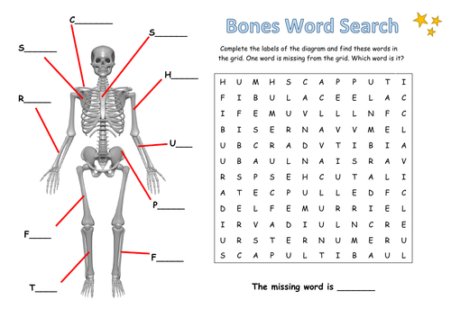 Bones Word Search | Teaching Resources