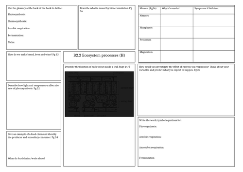 Revision mat: Activate 2 - Ecosystem processes