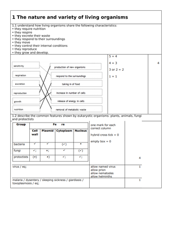 docx, 505.32 KB