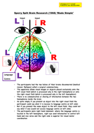Psychology Sperry (1968) 'Split Brain' Research: "Made Simple