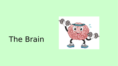 Biopsychology - Ways of Studying the Brain