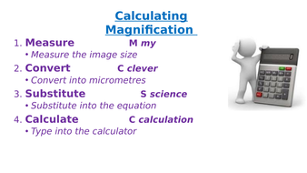 KS3: Cells, Magnification Calculation Help Card | Teaching Resources